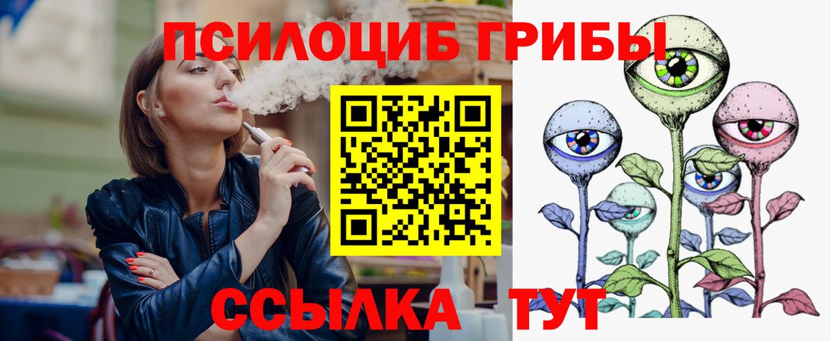Галлюциногенные грибы Psilocybe Мичуринск